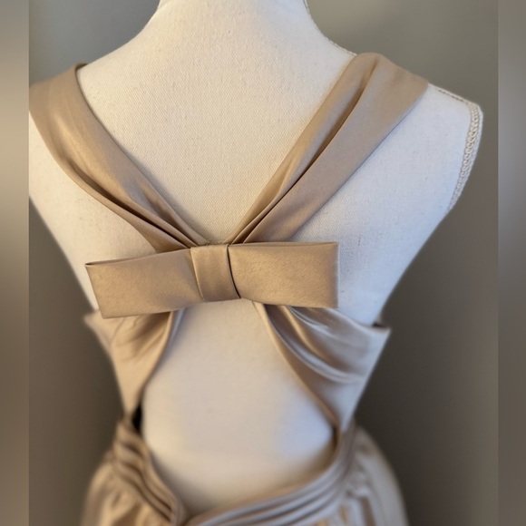 Backless Adrianna Papell, champagne, formal dress. Gorgeous. size 12 - Picture 5 of 16